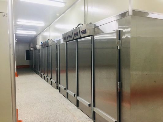 Yasur YST-1R2 Typ rolki Ciasto końcowe garownia Pomieszczenie fermentacyjne Podwójne stojaki 40X60cm Tace 220V 2KW