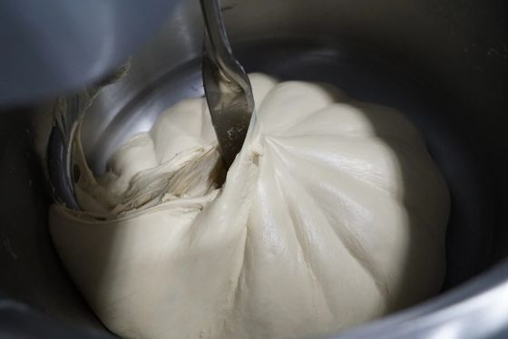 Podwójna prędkość 12,5 kg Spiralny mikser do ciasta na pizzę Pojedynczy silnik 25 kg Mikser do ciasta